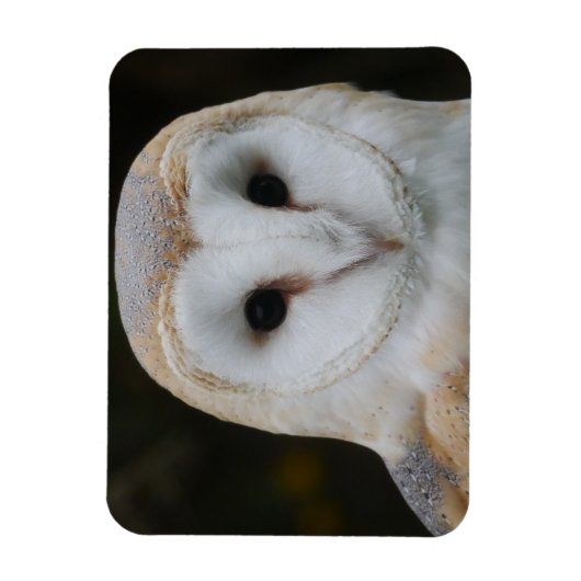 Barn Owl Magnet Magneet (Verticaal)
