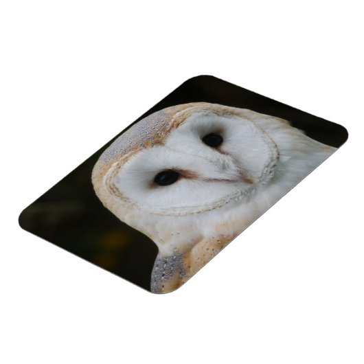 Barn Owl Magnet Magneet (Linkerzijde)