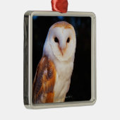 Barn Owl Metalen Ornament (Rechts)