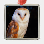 Barn Owl Metalen Ornament (Voorkant)