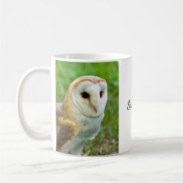 Barn Owl Mok