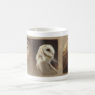 Barn Owl Mok