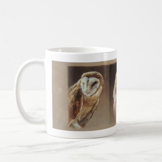 Barn Owl Mok (Links)