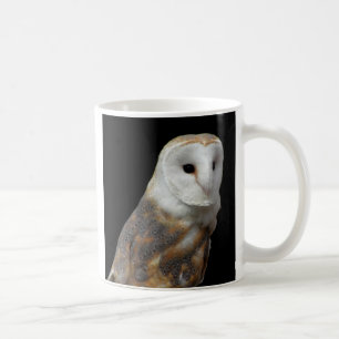 Barn Owl mok