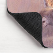 Barn Owl Mousepad Muismat (Hoek)