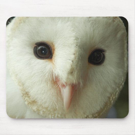 Barn Owl Mousepad Muismat (Voorkant)