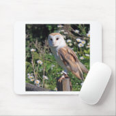 Barn Owl Muismat (Met muis)