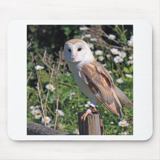 Barn Owl Muismat (Voorkant)