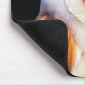 Barn Owl Muismat (Hoek)