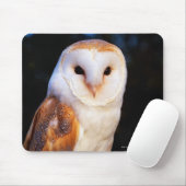Barn Owl Muismat (Met muis)