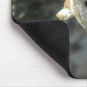 Barn Owl Muismat (Hoek)