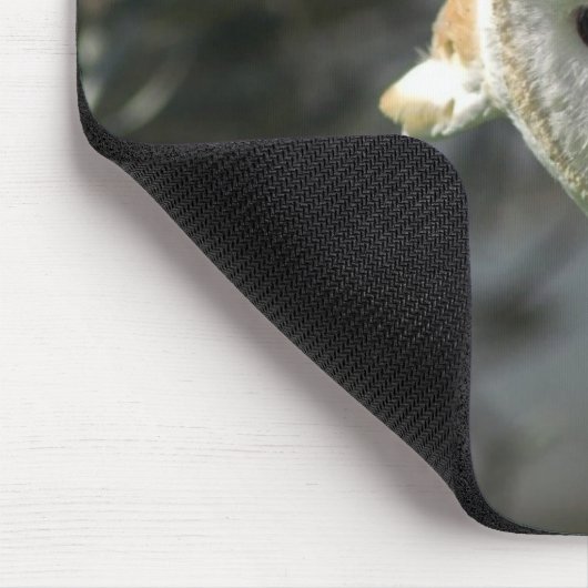 Barn Owl Muismat (Hoek)