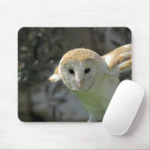 Barn Owl Muismat (Met muis)