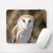 Barn Owl Muismat (Met muis)