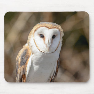 Barn Owl Muismat