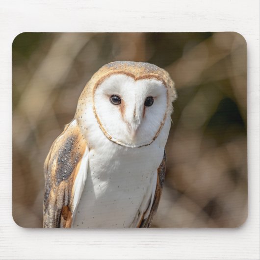 Barn Owl Muismat (Voorkant)