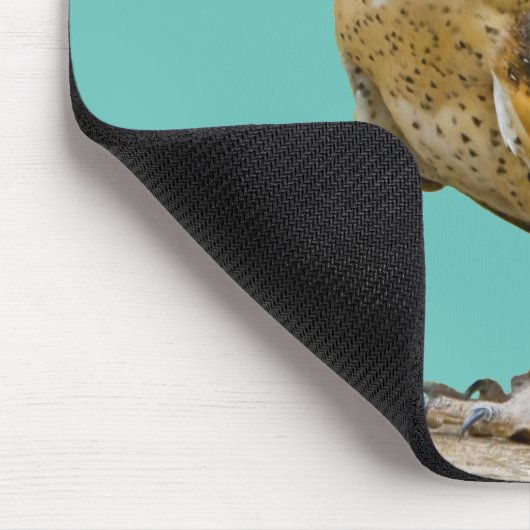 Barn Owl Muismat (Hoek)