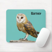 Barn Owl Muismat (Met muis)
