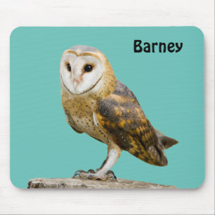 Barn Owl Muismat