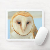 Barn owl muismat (Met muis)