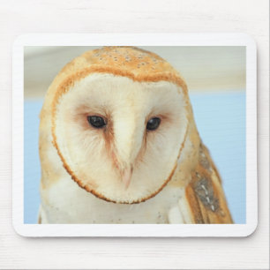 Barn owl muismat