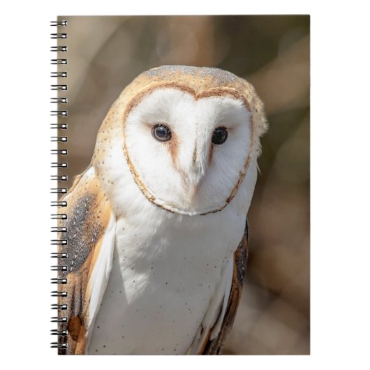 Barn Owl Notitieboek (Voorkant)