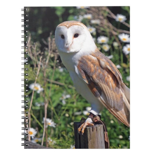 Barn Owl Notitieboek (Voorkant)