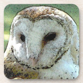 Barn Owl Onderzetter set (Voorkant)