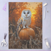 Barn Owl op Pompoen Herfst Decoupage Tissuepapier (Craft)
