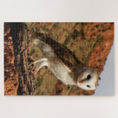 Barn owl, Outback Australia Legpuzzel (Horizontaal)