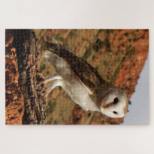 Barn owl, Outback Australia Legpuzzel (Horizontaal)