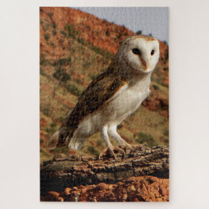 Barn owl, Outback Australia Legpuzzel