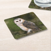 Barn Owl Paper Onderzetter (Schuin)