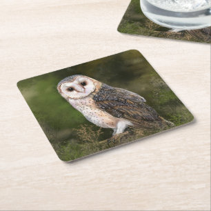 Barn Owl Paper Onderzetter