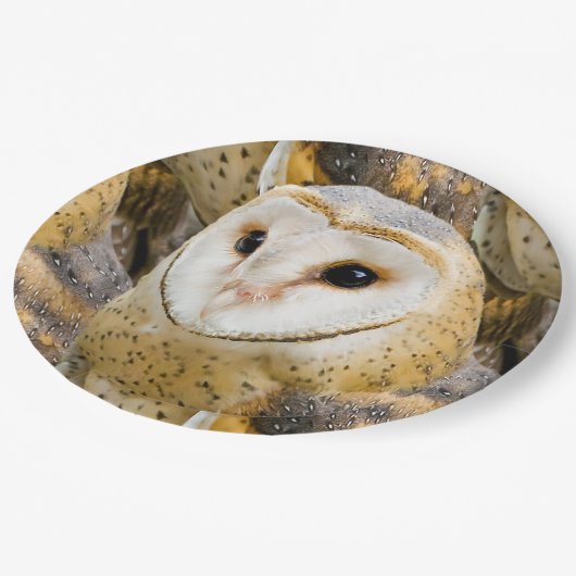 Barn Owl Papieren Bordje (Gekanteld)