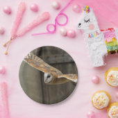 Barn Owl Papieren Bordje (Feest)