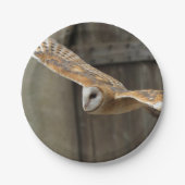Barn Owl Papieren Bordje (Voorkant)