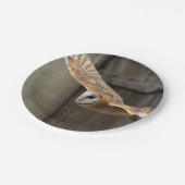 Barn Owl Papieren Bordje (Gekanteld)