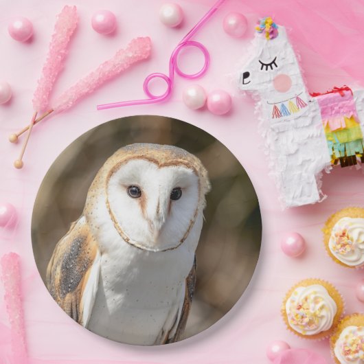 Barn Owl Papieren Bordje (Feest)