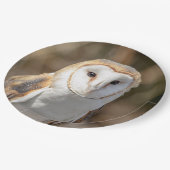 Barn Owl Papieren Bordje (Gekanteld)