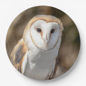 Barn Owl Papieren Bordje (Voorkant)