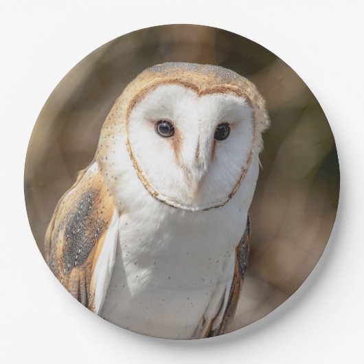 Barn Owl Papieren Bordje (Voorkant)