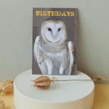 Barn Owl Photo Funny Birthday Kaart