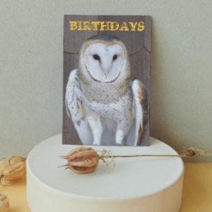 Barn Owl Photo Funny Birthday Kaart