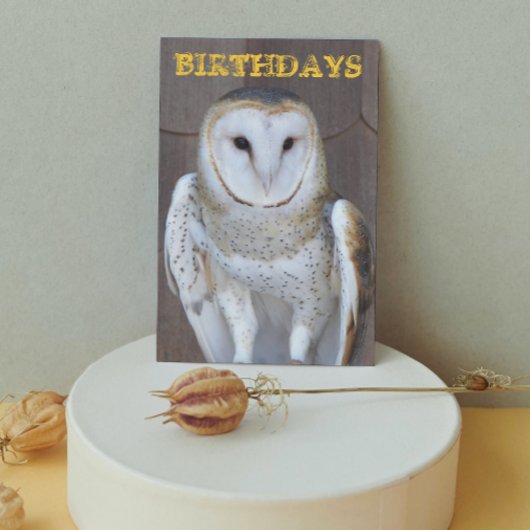 Barn Owl Photo Funny Birthday Kaart