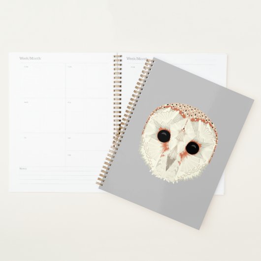 Barn Owl Planner (Display)