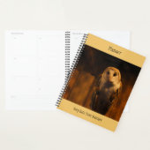 Barn Owl Planner (Display)
