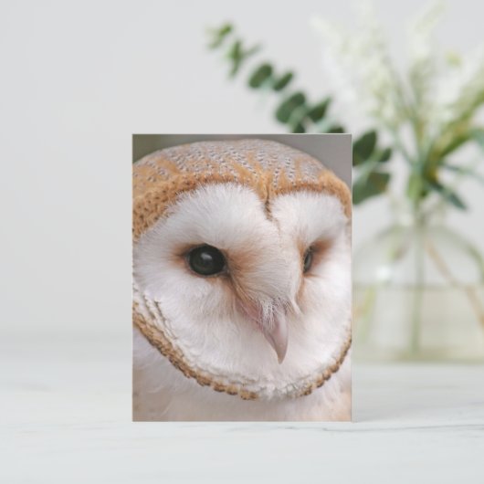 Barn Owl Portrait Briefkaart (Staand voorkant)