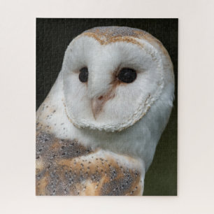 Barn Owl Portrait Legpuzzel