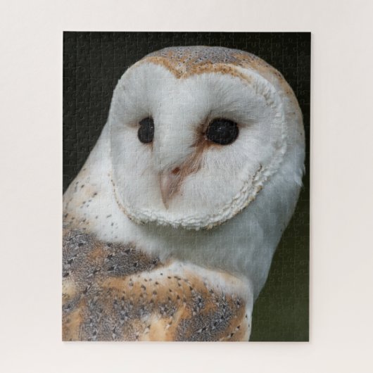 Barn Owl Portrait Legpuzzel (Verticaal)